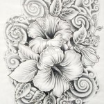 14-drawings-of-flowers-hibiscus.preview